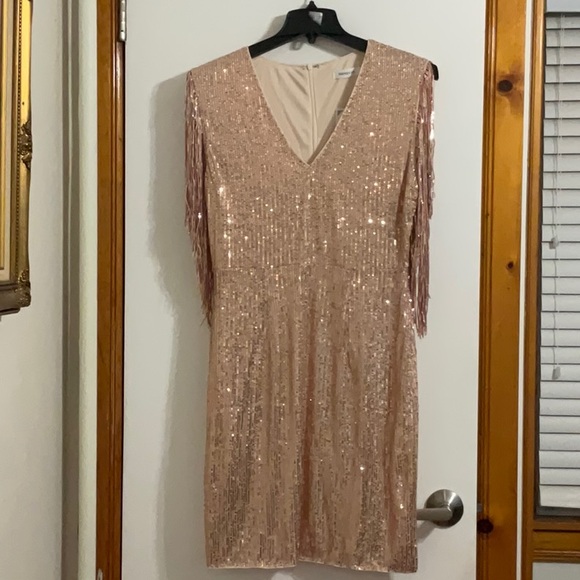 Dresses & Skirts - Women’s Sexy Deep-V Sequin Glitter Tassel Sleeve Party Mini Dress SzXL Rose Gold